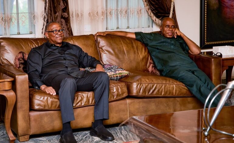 FIFA World Cup Victory Shows Youth Can Deliver New Nigeria – Obi
