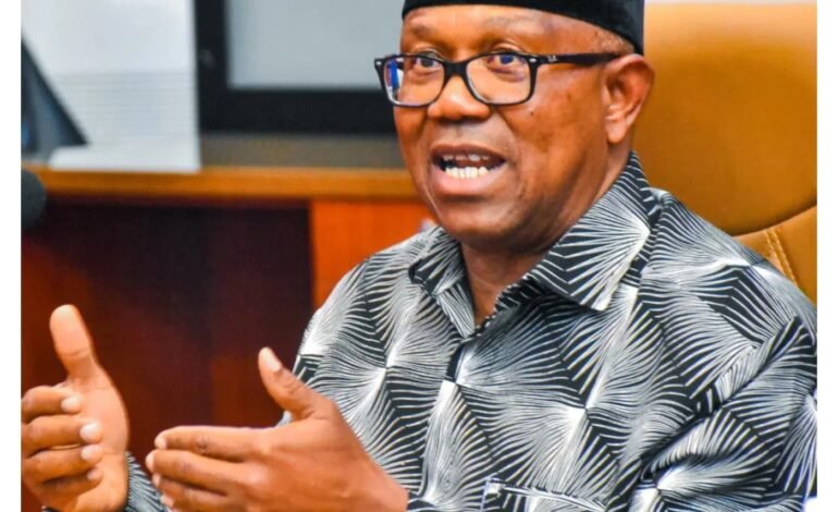 2027 election: ‘I’m a tool being used, won’t lose’ – Peter Obi