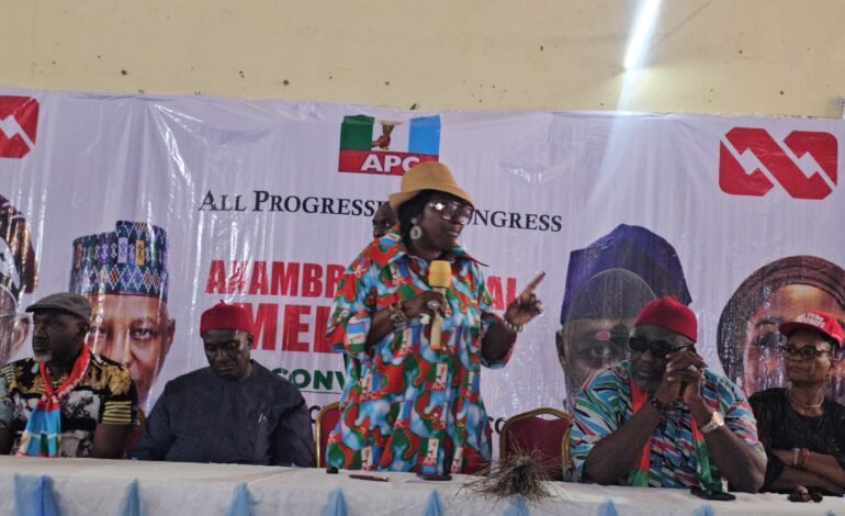 2027: APC Cannot Be Intimidated, Says Ekwunife 