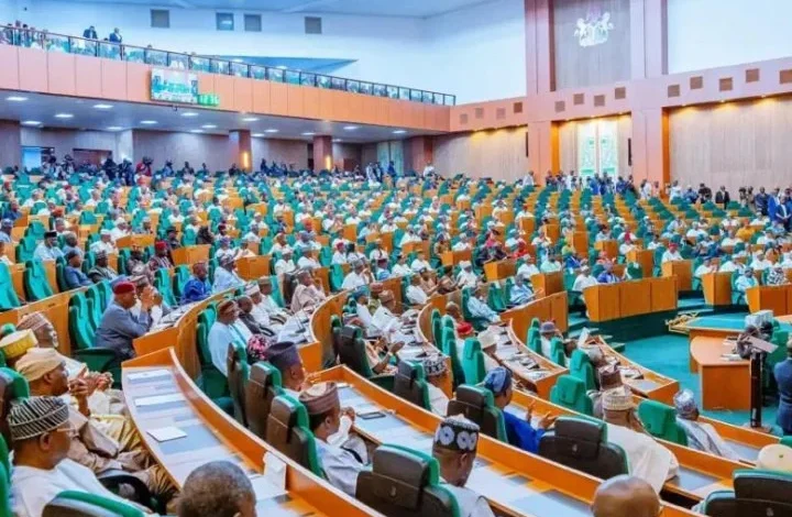 Reps order probe into illegal encroachment beneath Eko Bridge