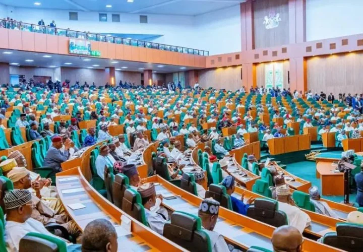 Reps order probe into illegal encroachment beneath Eko Bridge